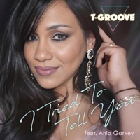 I Tried to Tell You (feat. Ania Garvey) - Single - T-Groove