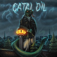Çatal Dil - Single - Ruhban