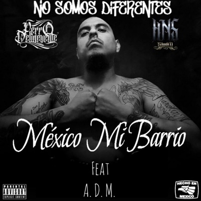 México Mi Barrio - Single
