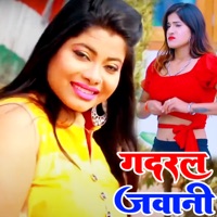 Gadral Javani - Single - Kumar Santosh