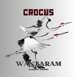 Crocus (Acoustic Version) WANTARAM