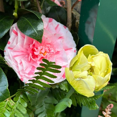 Mùa Xuân Em Nhặt - Single