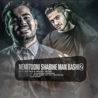 Nemitooni Shabihe Man Bashi 2 (feat. Milad 30Zer) - Single - Behzad Pax