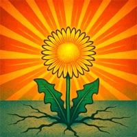 Dandelion (Radio Edit) - Single - Kailash Kokopelli
