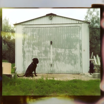 Too Late to Die 2: Rewind