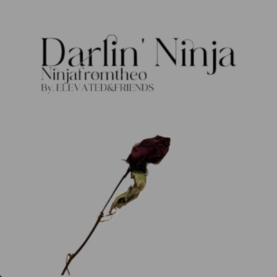 Darlin' Ninja - Single
