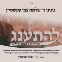 L'hisaneig: Zemiros L'Shabbos Kodesh (feat. Shloime Hersh Ekstein) - MRM All Stars