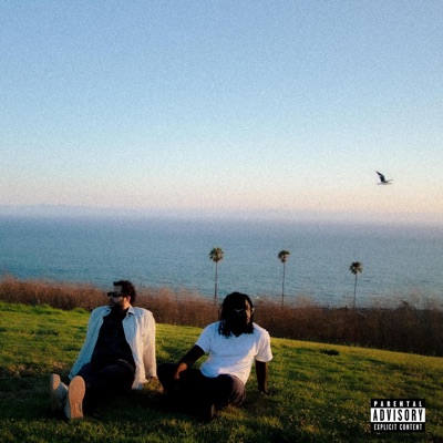 lotta sights, lotta sounds - Single