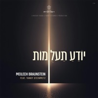 Yodeah Ta’alumos (feat. Yanky Steinmetz) - Single - Meilech Braunstein & R' Cheskie Weisz