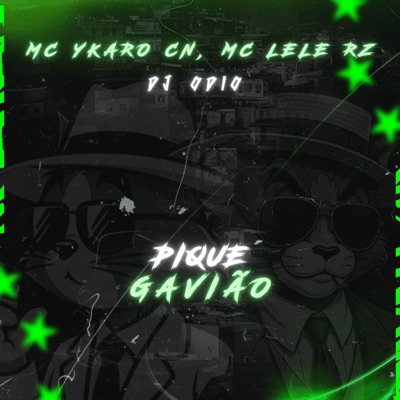 PIQUE GAVIÃO - Single