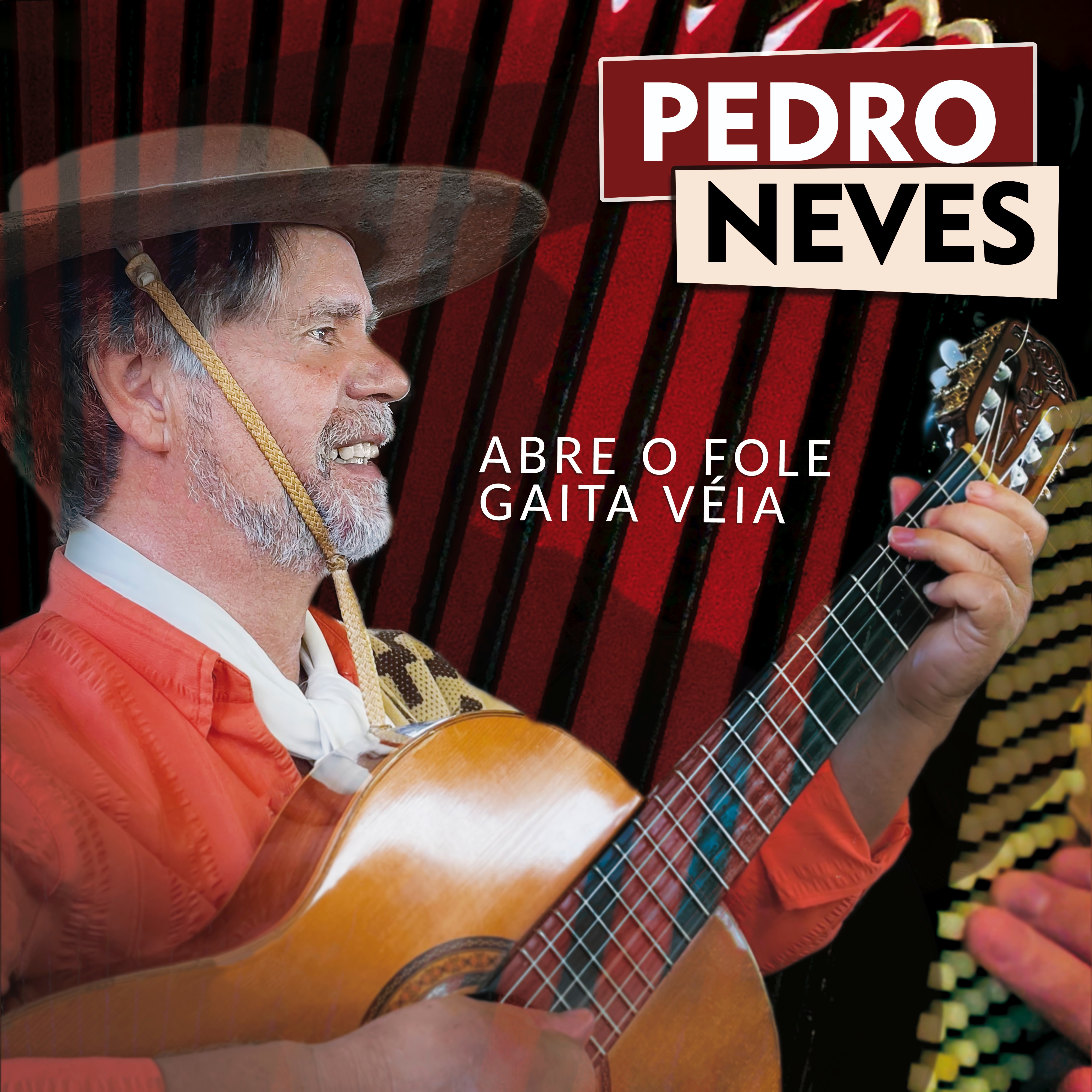 Abre o Fole Gaita Véia - Single