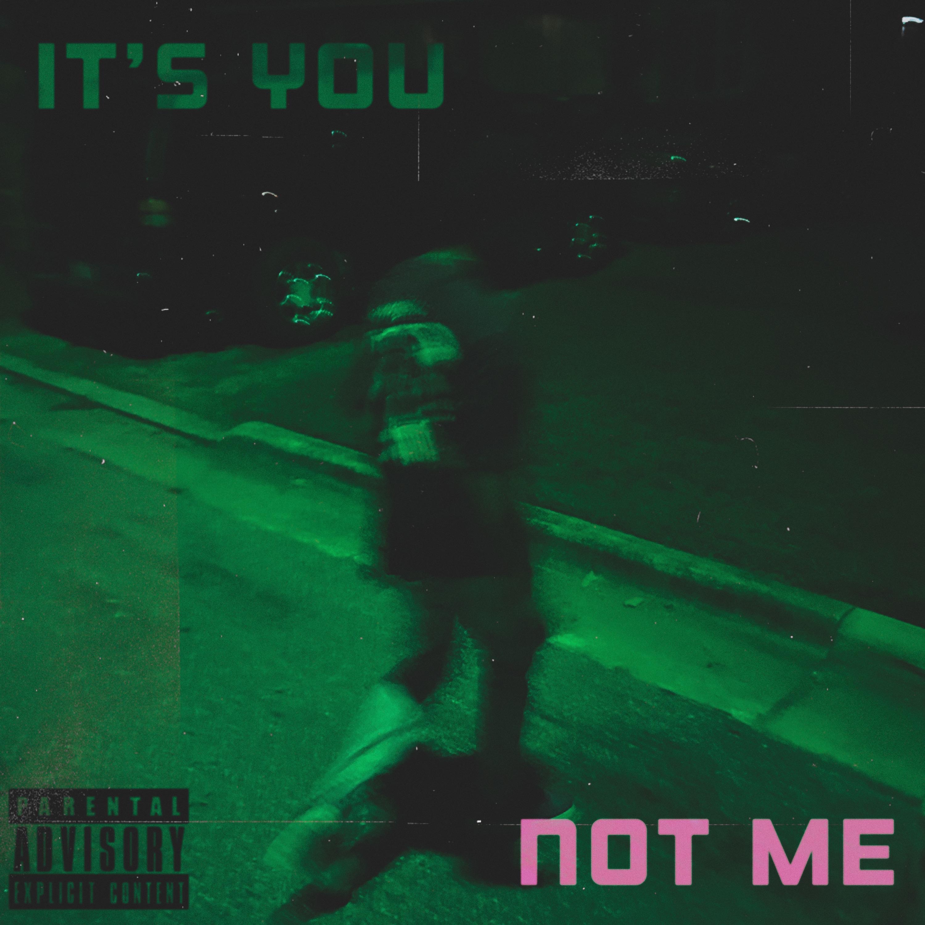 It's You Not Me