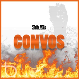 Convos (feat. Captan, Joint 77, Addi Self, Natty Lee & Pope Skinny) Shatta Wale