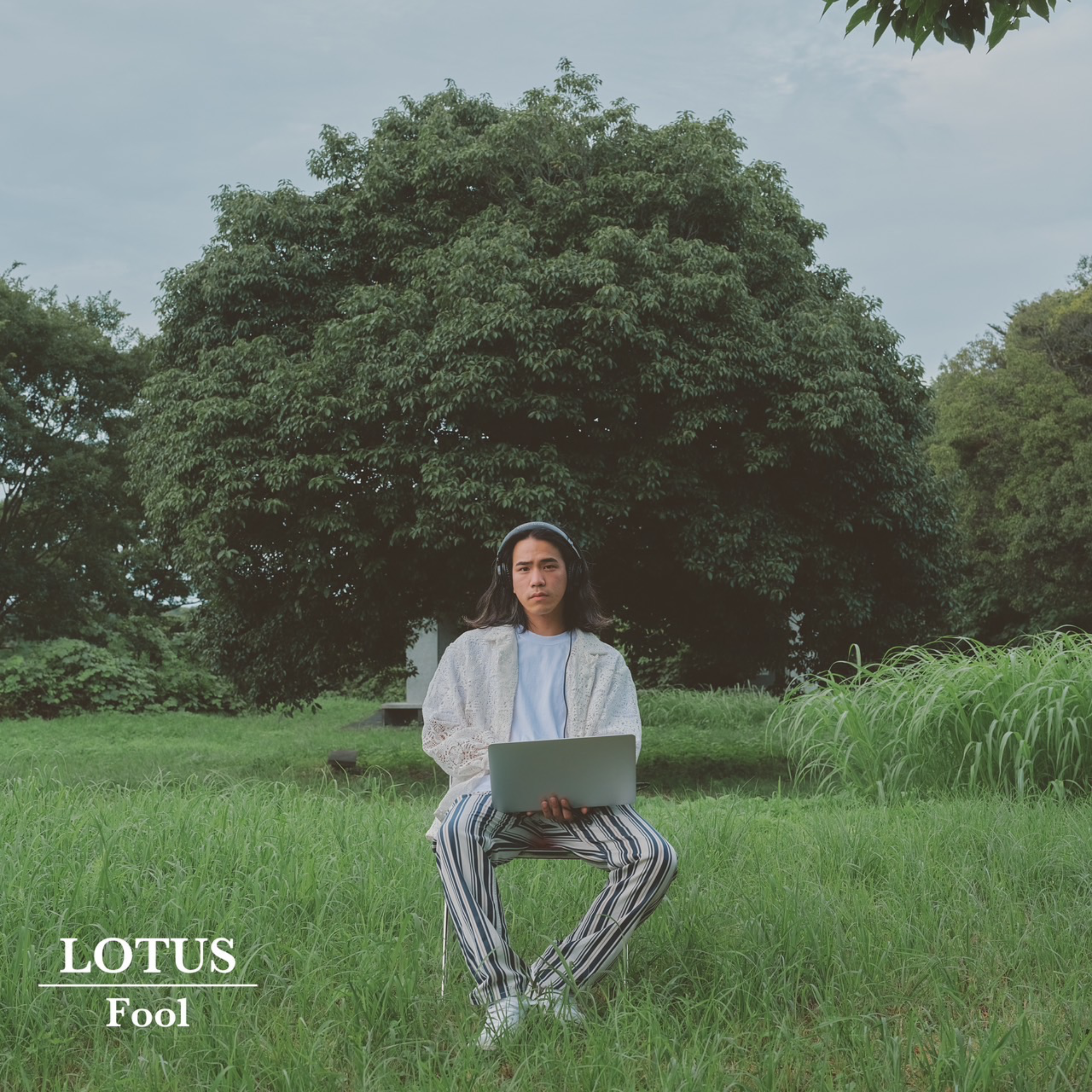Lotus