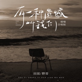 有一种遗憾叫我们 (烟嗓合唱版) Yuan Tian & Wild Brother