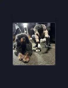 Wileout1を聴いたり、ミュージックビデオを鑑賞したり、経歴やツアー日程などを確認したりしましょう！