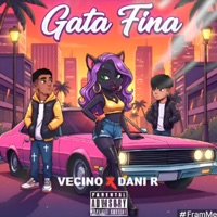 MI GATA FINA (Remasterizado) - Single - Vecino & DANI R