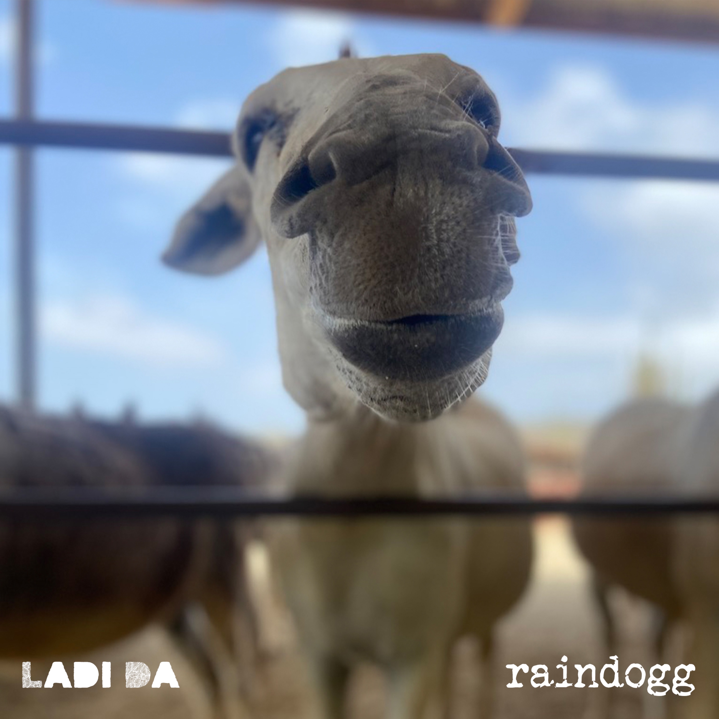 Ladi Da - Single