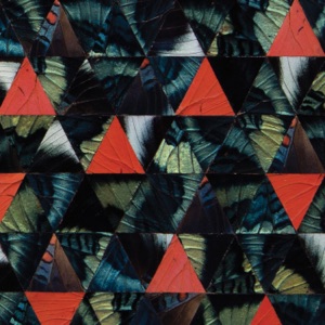 Diatom Ribbons (Live At The Village Vanguard) [feat. Julian Lage, Terri Lyne Carrington, Trevor Dunn & Val Jeanty]