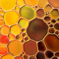 Project 485. - Single - Over Unity