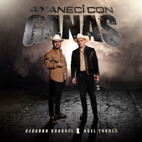 Amanecí Con Ganas - Single - Noel Torres & Gerardo Coronel