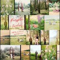 Purple Feels - Single - DAP The Contract & Syl DuBenion