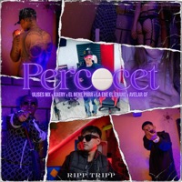 Percocet (feat. AVELAR GF & EL NENE PRRR) - Single - LA ENE EL ENANO, Ripp tripp, Ulises mx & Kaery