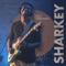 Funk Flex - Isaiah Sharkey lyrics