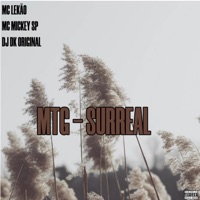MTG - SURREAL (feat. DJ DK ORIGINAL) - Single - Mc Mickey Sp & MC Lekao