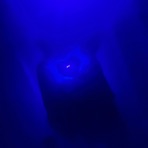 Still Finessin - Single