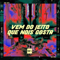 Vem do Jeito Que Nois Gosta (feat. Dj Harry Potter) - Single - MC LARISSA & TRT HITS