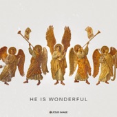 He Is Wonderful (Live) artwork