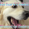 Wasted on Bailey - Richard Collett
