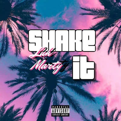 Shake It - Single