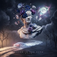Waves in the Dark - Single - NVLS