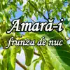 Romica Ibanescu - Amară-i frunza de nuc
