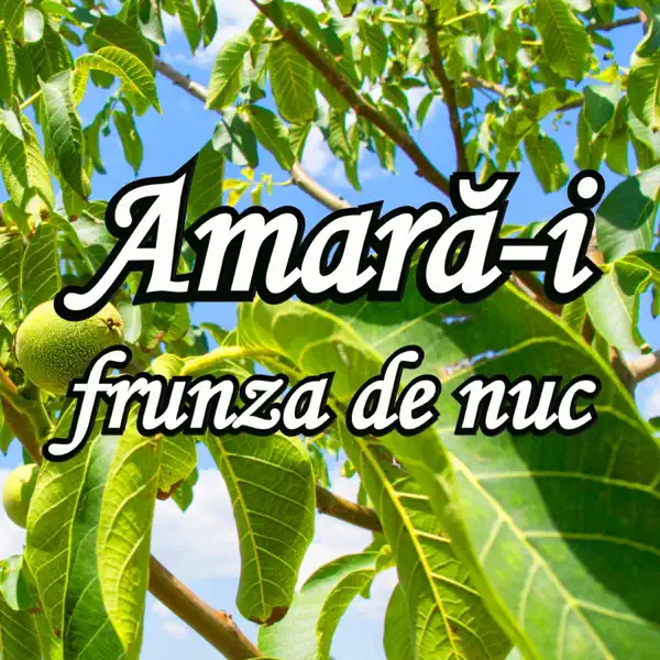 Amară-i frunza de nuc — Romica Ibanescu