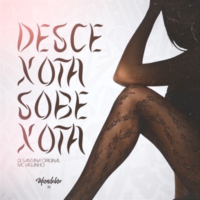 Desce Xota Sobe Xota - Single