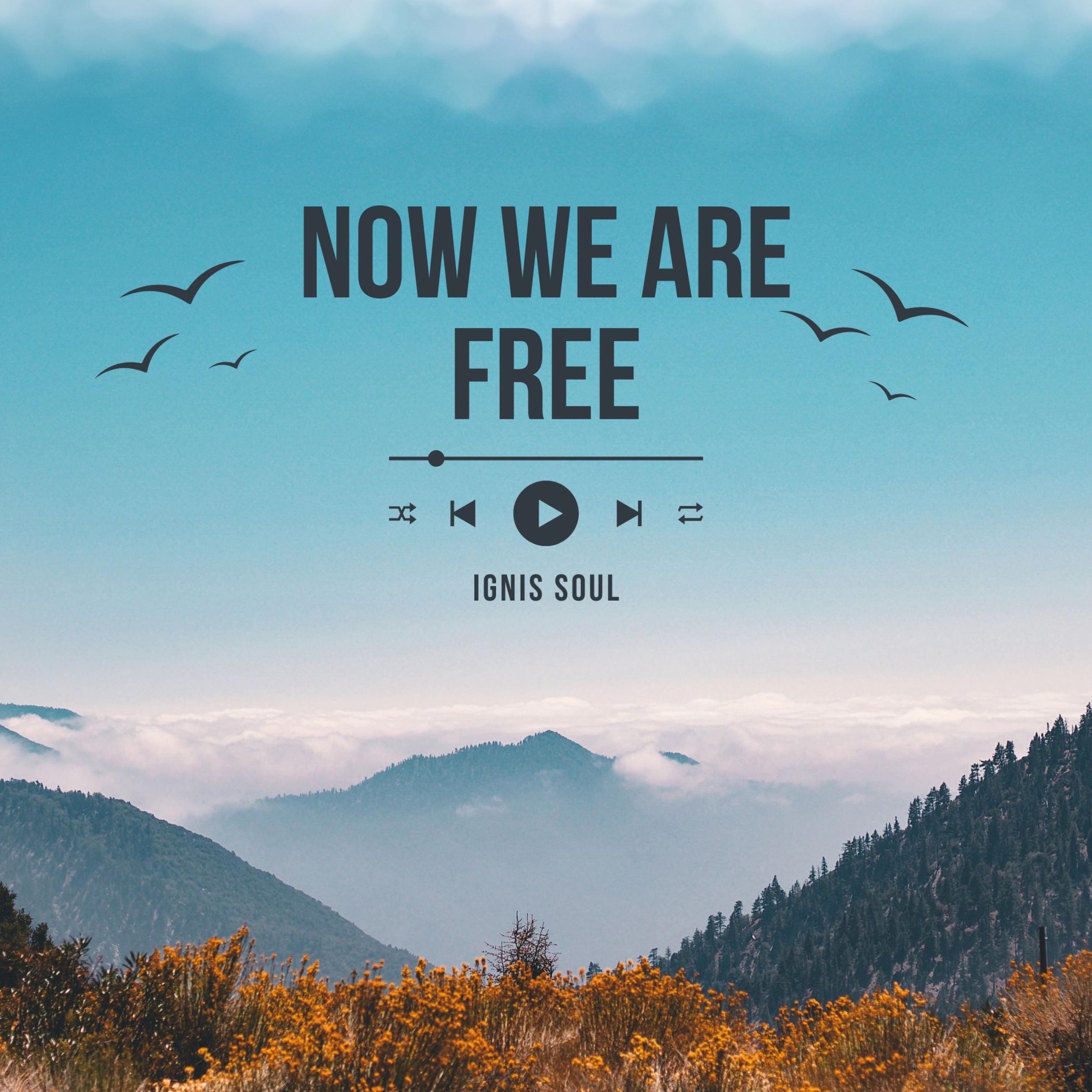Now We Are Free - Single