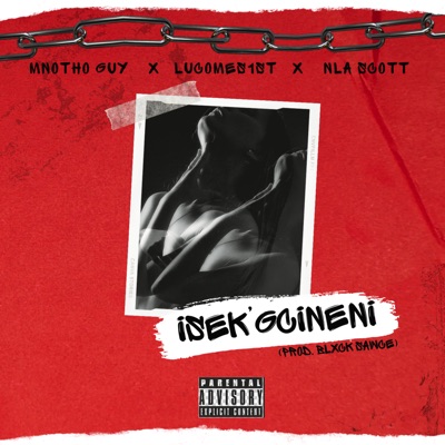 Isek’gcineni (feat. LuComes1st & NLA Scott) - Single