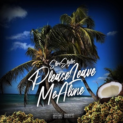 Please Leave Me Alone - Single
