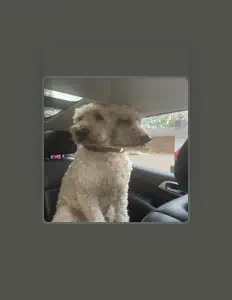 Listen to anub!s, watch music videos, read bio, see tour dates & more!