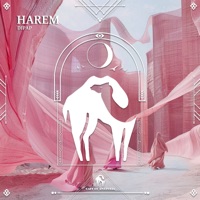 Harem - Single - DiPap & Cafe De Anatolia