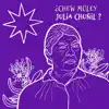 Constanza Nahuelpan - ¿Chew Müley Julia Chuñil?