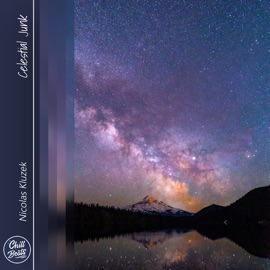 Celestial Junk Nicolas Kluzek
