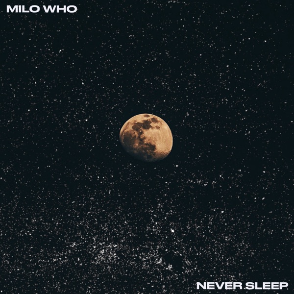 Never Sleep