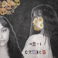 nu-i corect - Single - Tedi