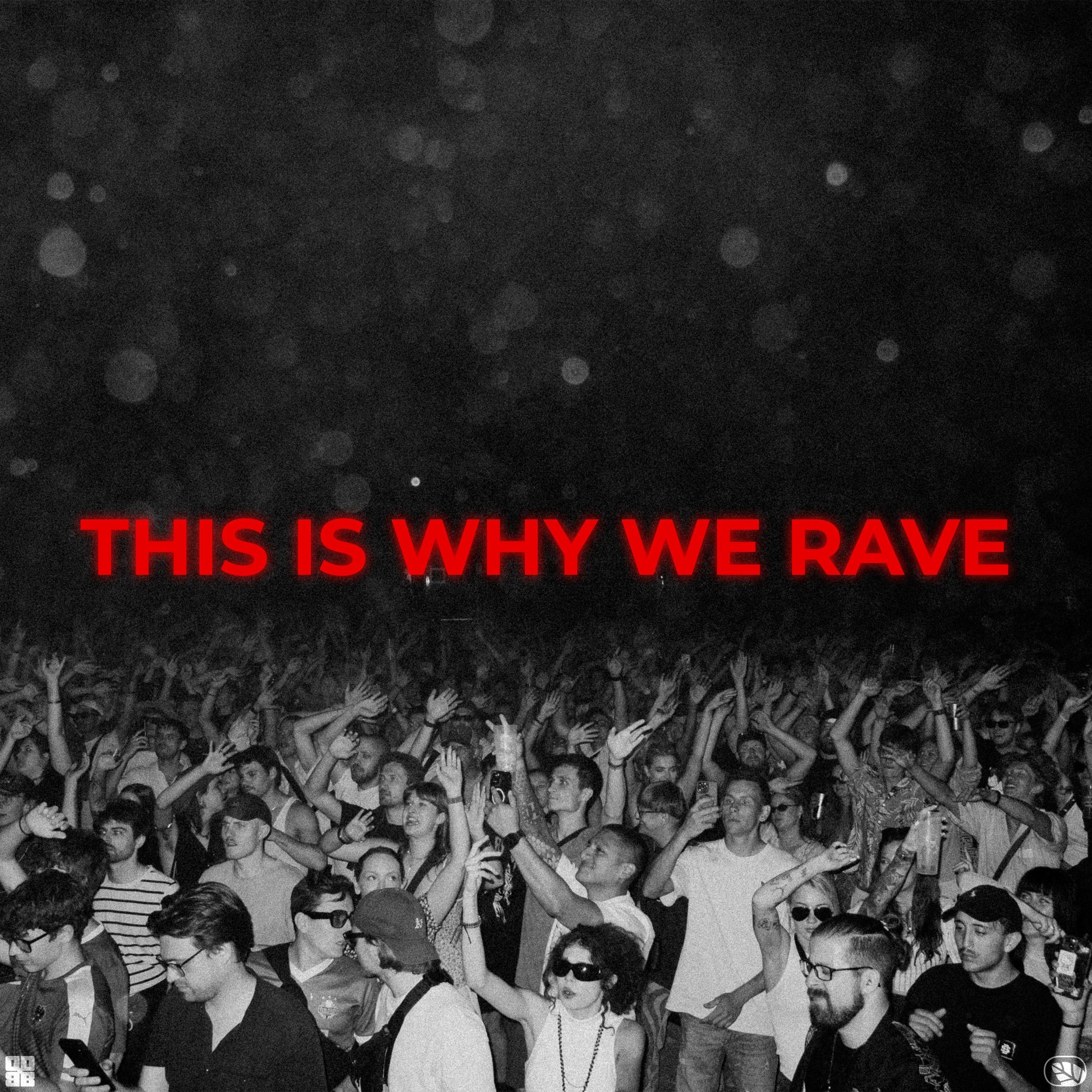 THIS IS WHY WE RAVE - Single
