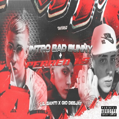 INTRO BAD BUNNY + PERREO LS MIX - Single