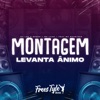 Montagem Levanta Ânimo (feat. MC MAGRINHO) - Single